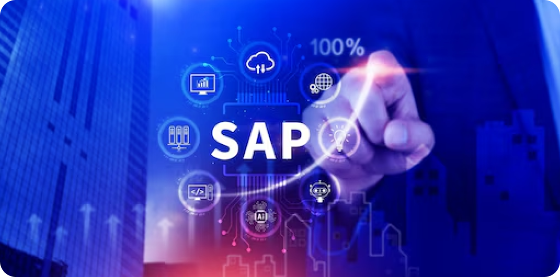 SAP Functional Consultants